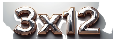3x12 logo